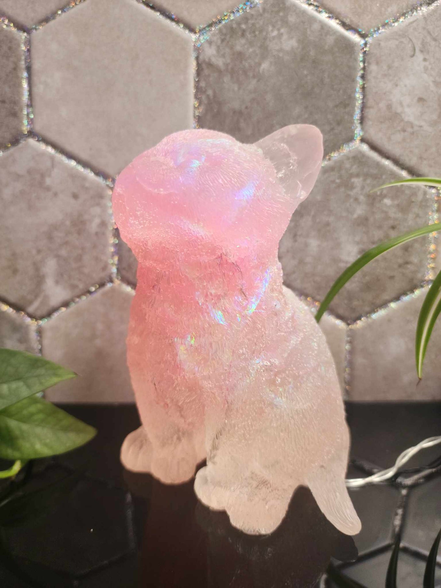 Light Up Kitty Cat