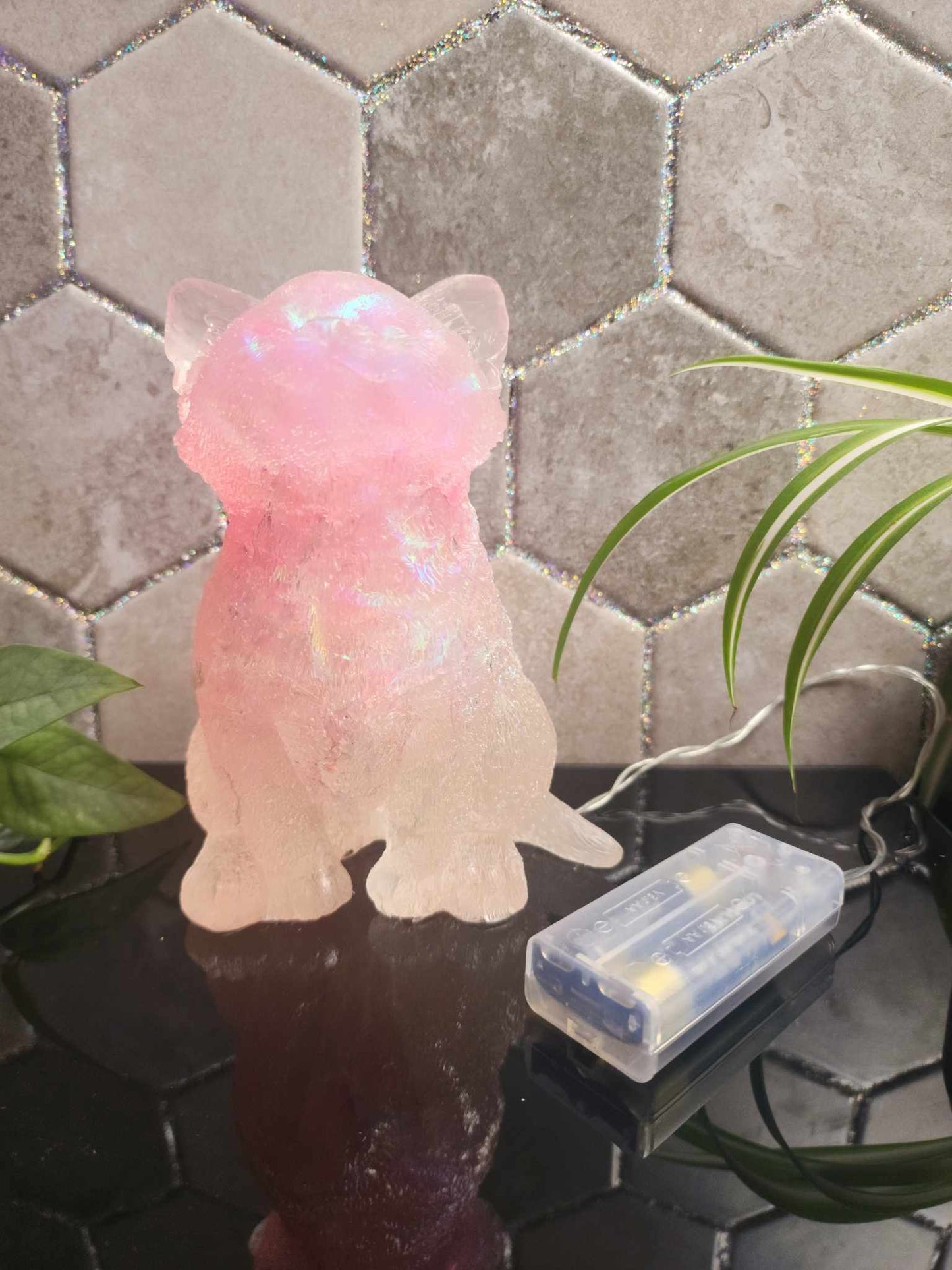 Light Up Kitty Cat