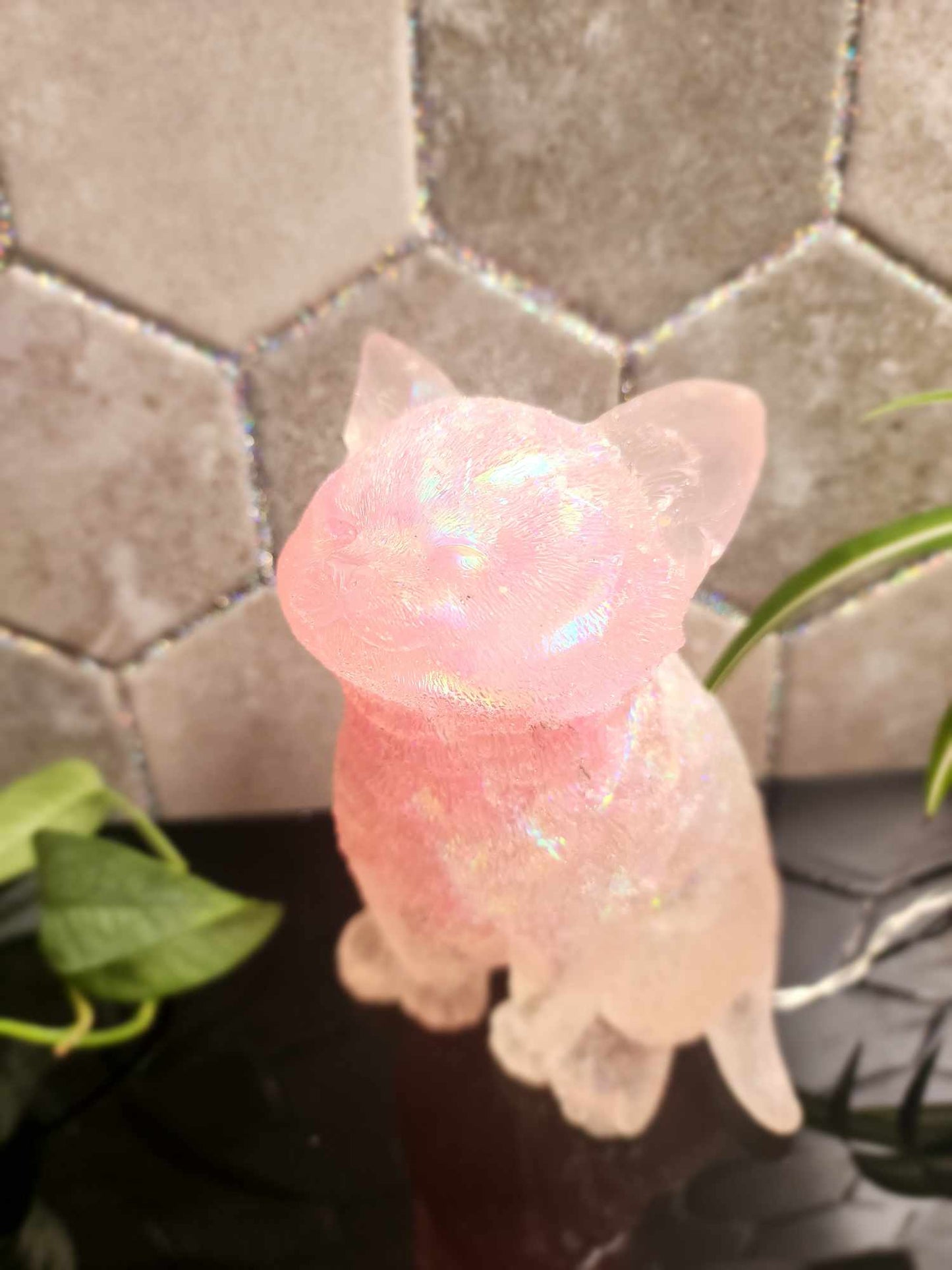 Light Up Kitty Cat
