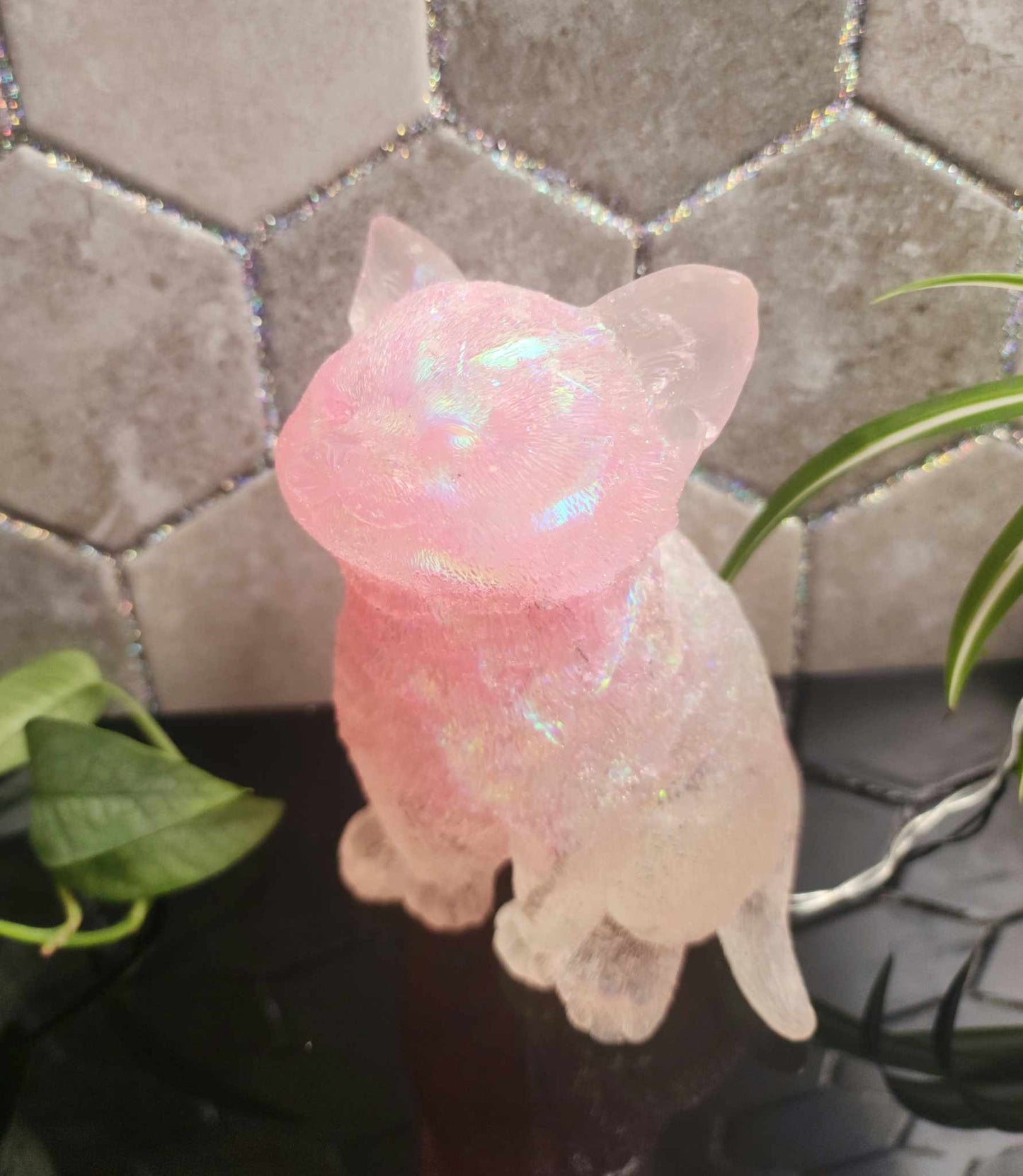 Light Up Kitty Cat